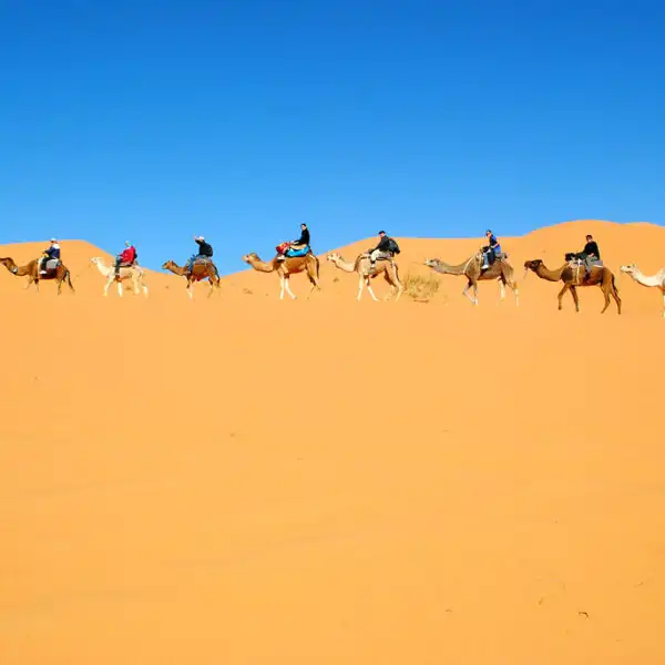 6 days Tour from Tangier to Merzouga Desert and Marrakech