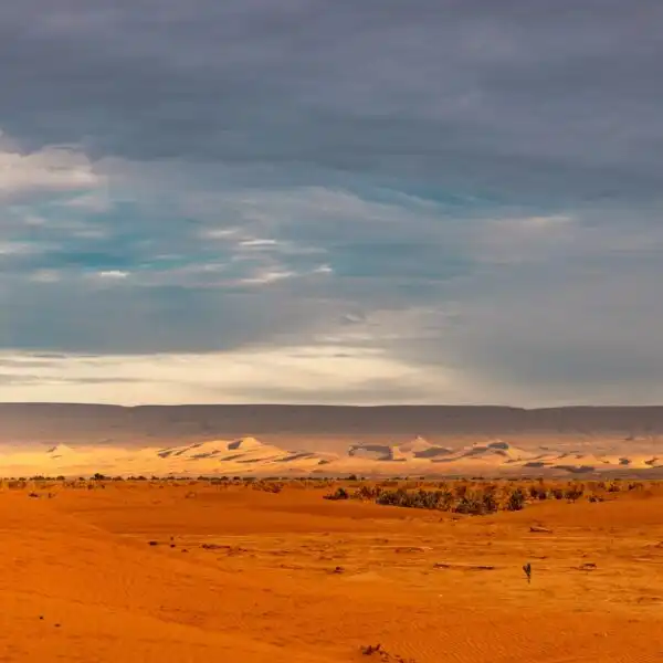 5 days Tour from Ouarzazate to Chegaga Desert