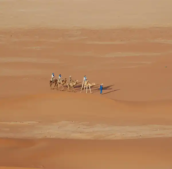 sahara