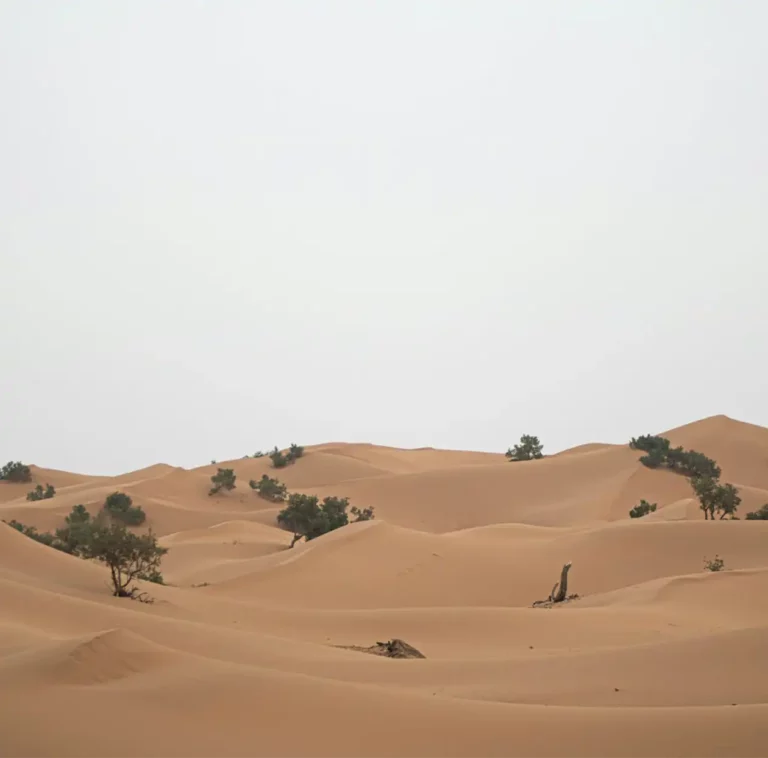 3 days tour from Marrakech to Chegaga desert