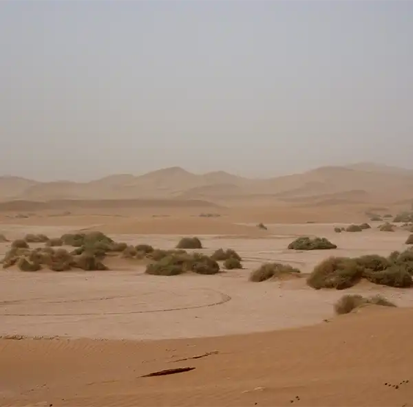 4 days Tour From Marrakech to Chegaga desert