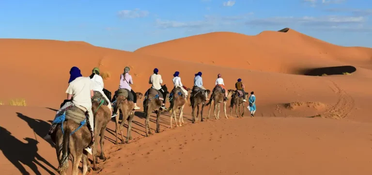 sahara