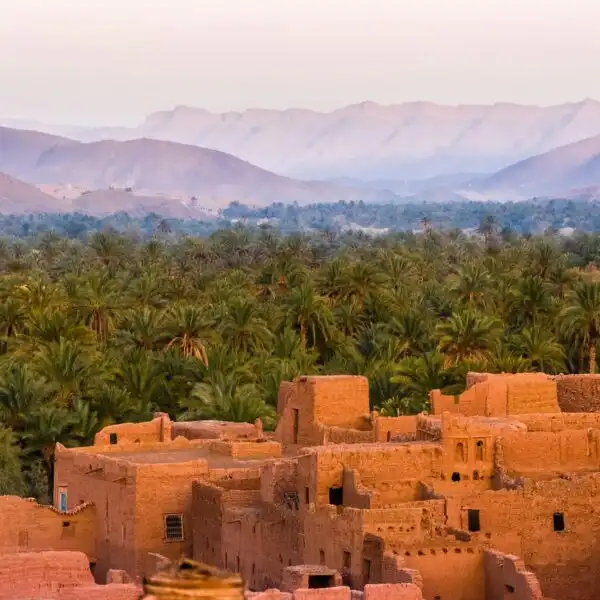 14 days tour through Morocco from Tangier