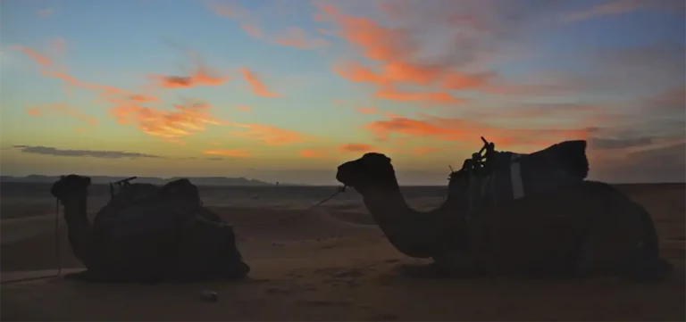 4 days Tour From Marrakech to Chegaga desert