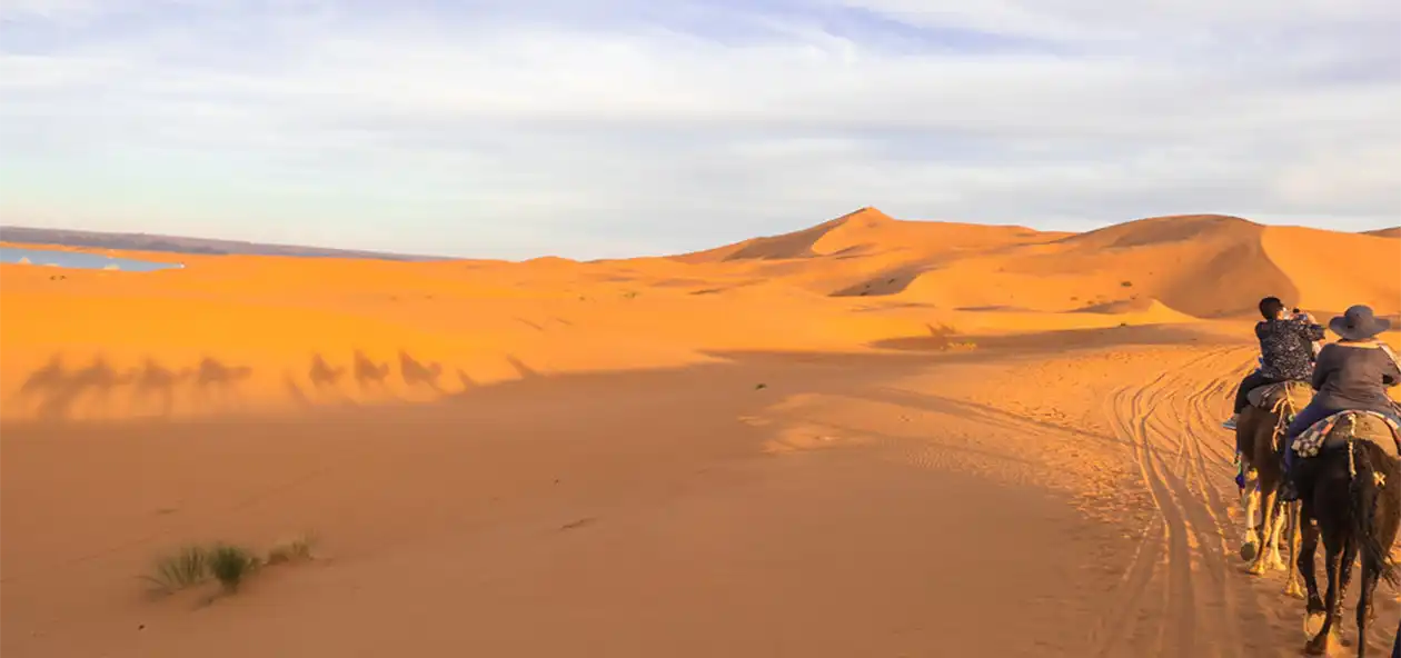 sahara