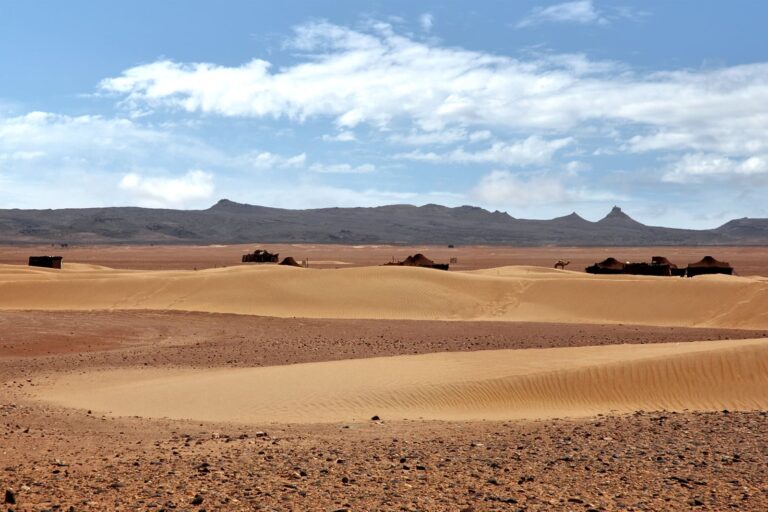 3 days Tour from Ouarzazate to Zagora Desert