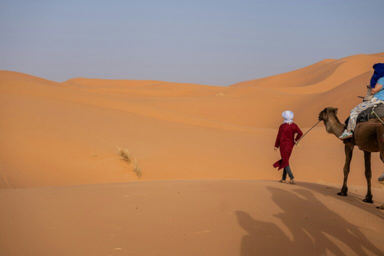 6 days tour from Ouarzazate to the deserts