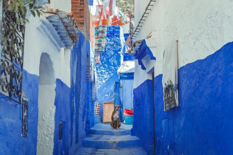 8 days tour from Agadir to desert and Chefchaouen