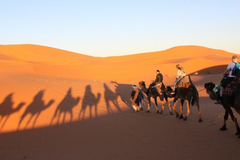 8 days tour from Casablanca to desert