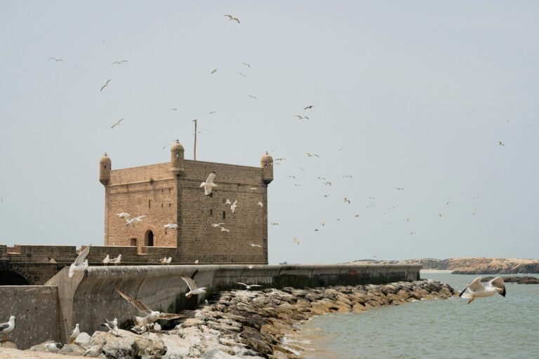 15 days tour from Tangier to desert