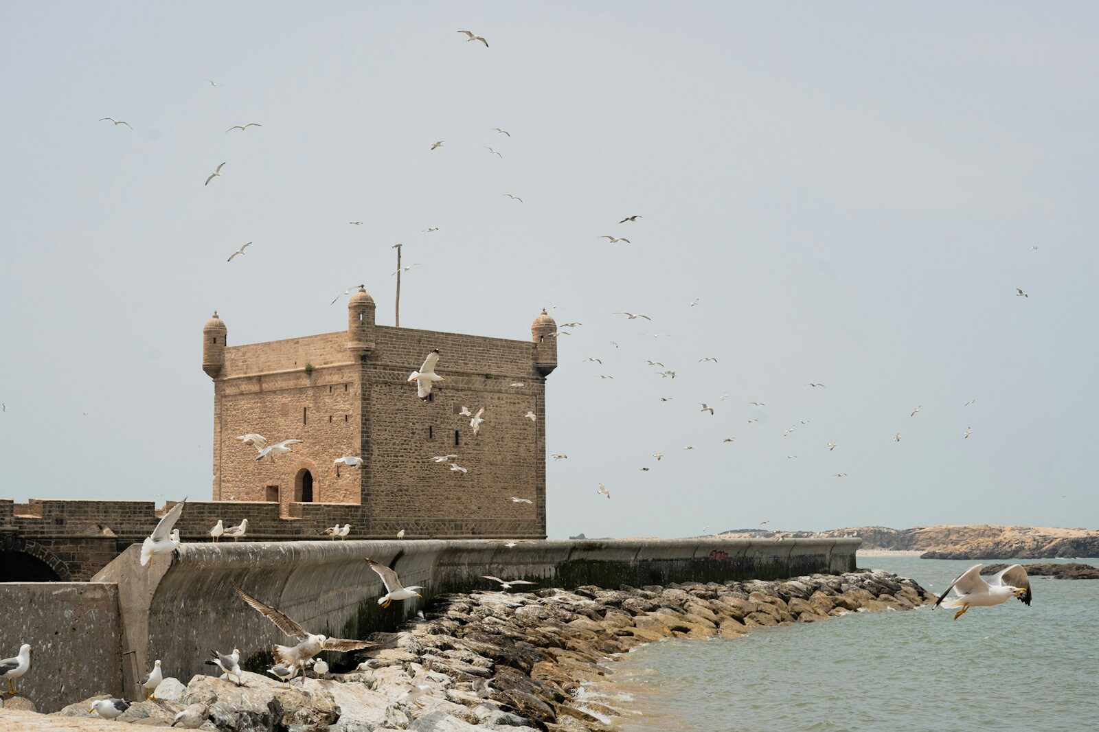 15 days tour from Tangier to desert