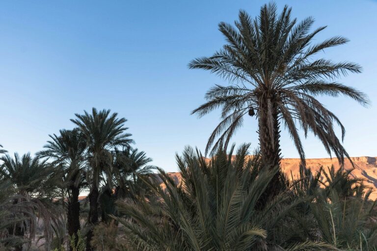 5 days tour From Fes to Marrakech