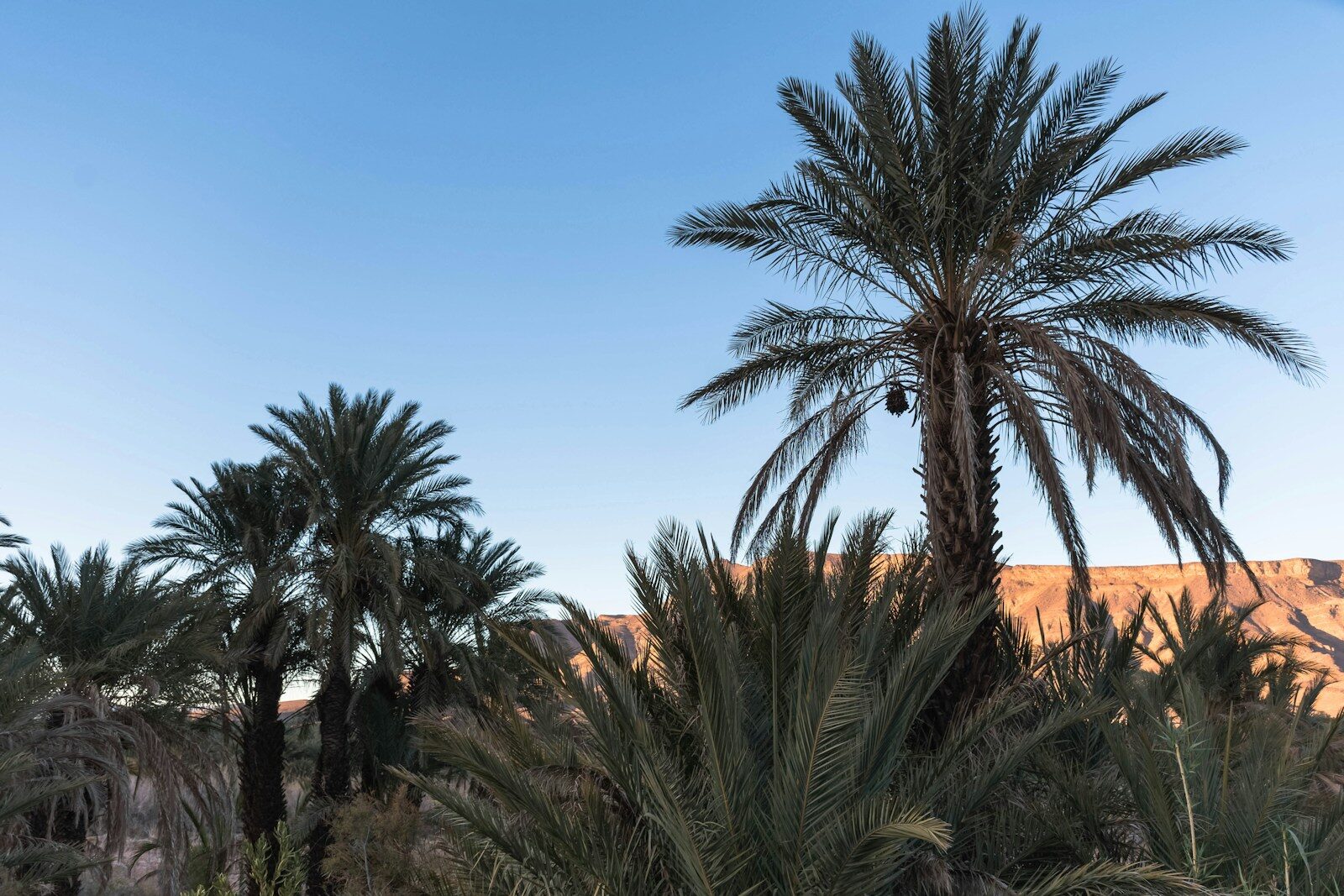 5 days tour From Fes to Marrakech via Merzouga and Zagora deserts