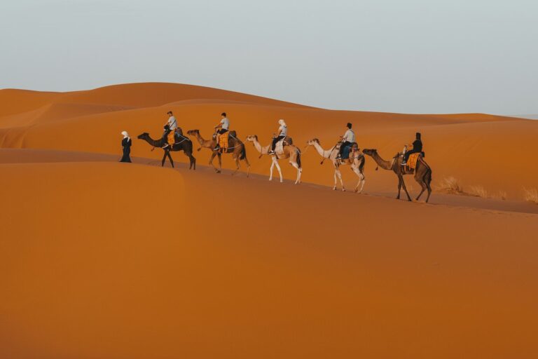 6 days tour from Marrakech to desert